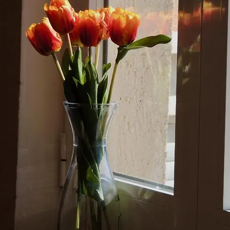 Lägenhet Magyar Apartmanhaz *